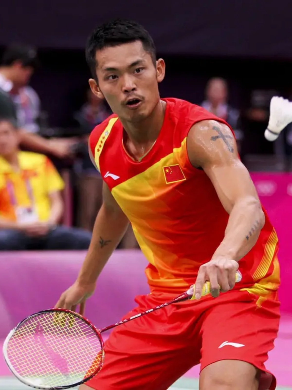 埃迪的篮球 埃迪的篮球